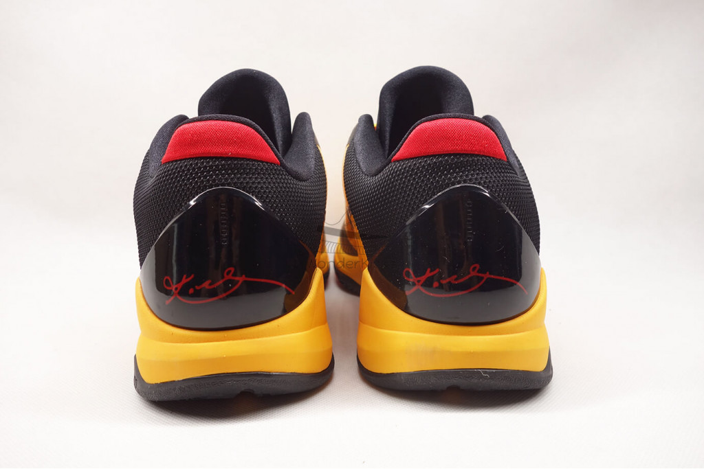 kobe 5 protro bruce lee