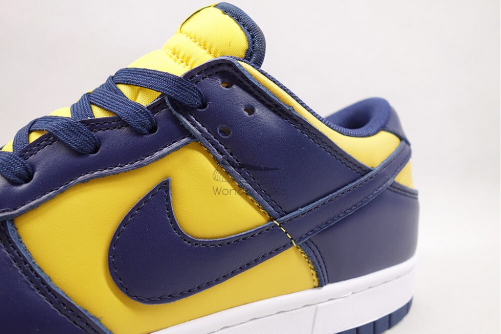 dunk low michigan (2021)