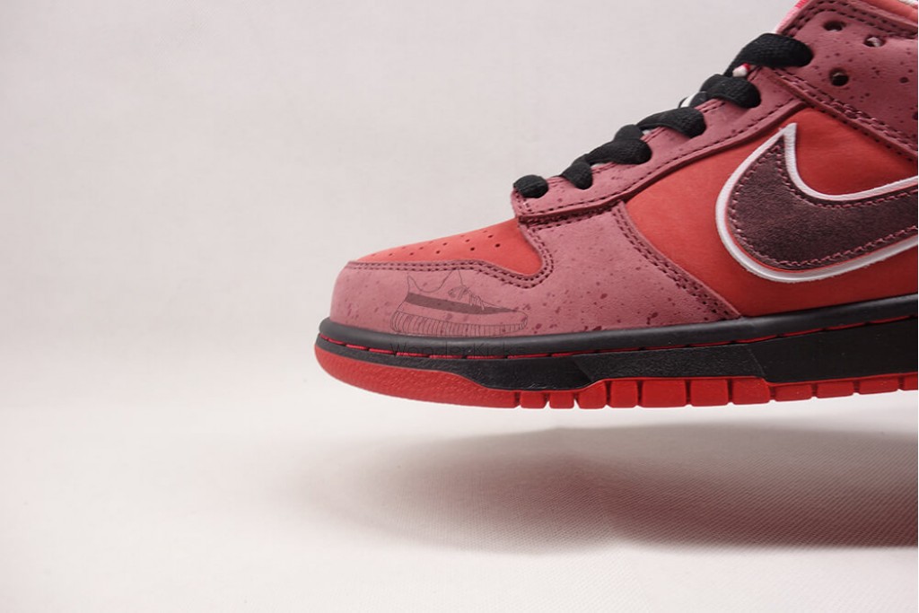 sb dunk low concepts red lobster