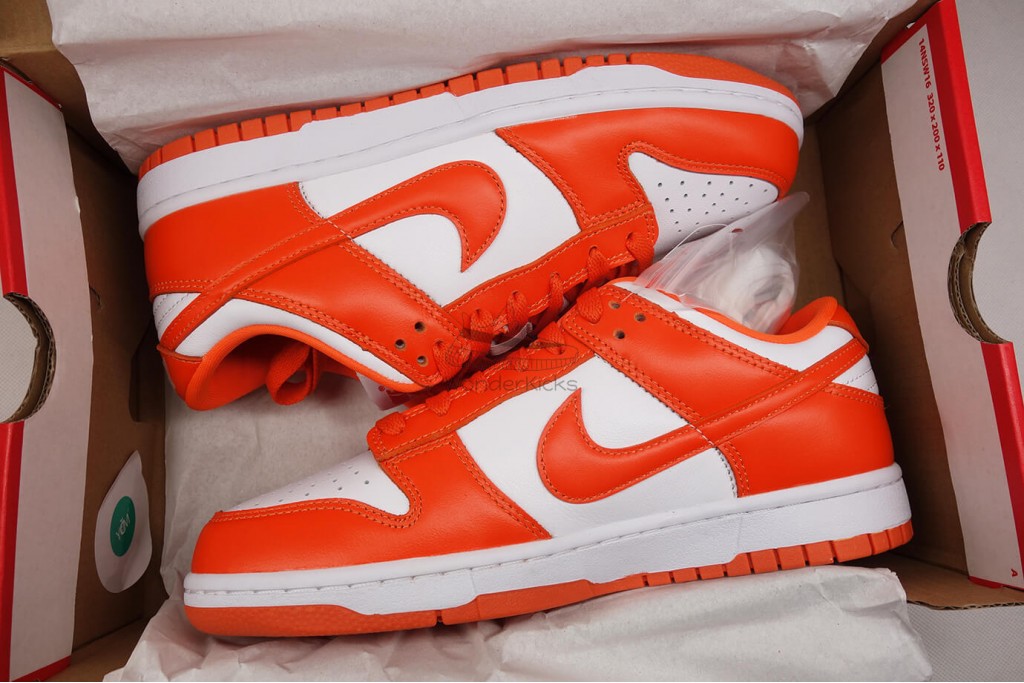 dunk low sp syracuse (2020/2022)